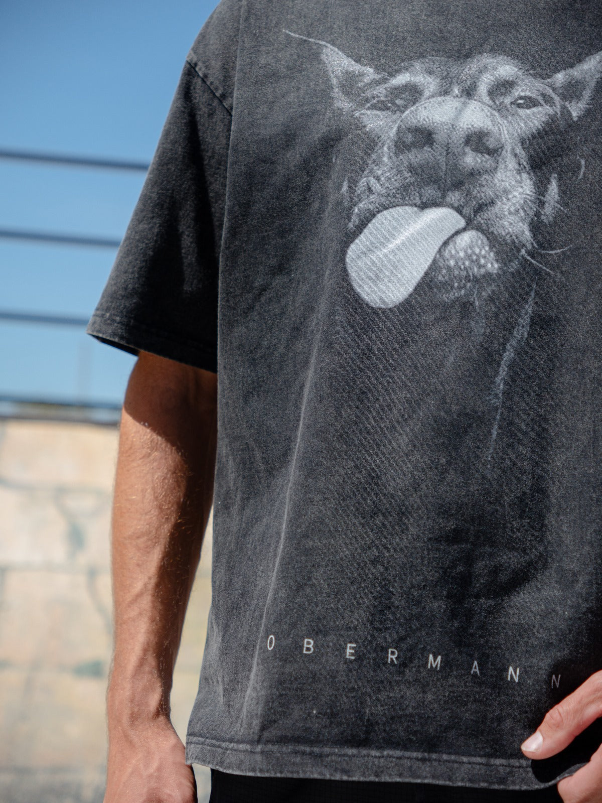 Washed T shirt Doberman Oversized